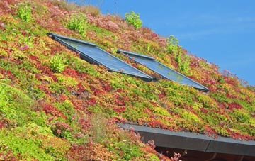 Butleigh Wootton living roof systems
